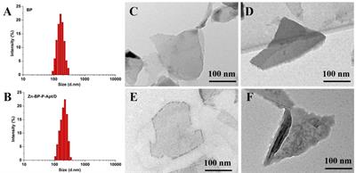 Zinc Ion-Stabilized Aptamer-Targeted Black Phosphorus Nanosheets for Enhanced Photothermal/Chemotherapy Against Prostate Cancer